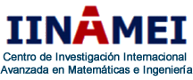 iinamei client-image