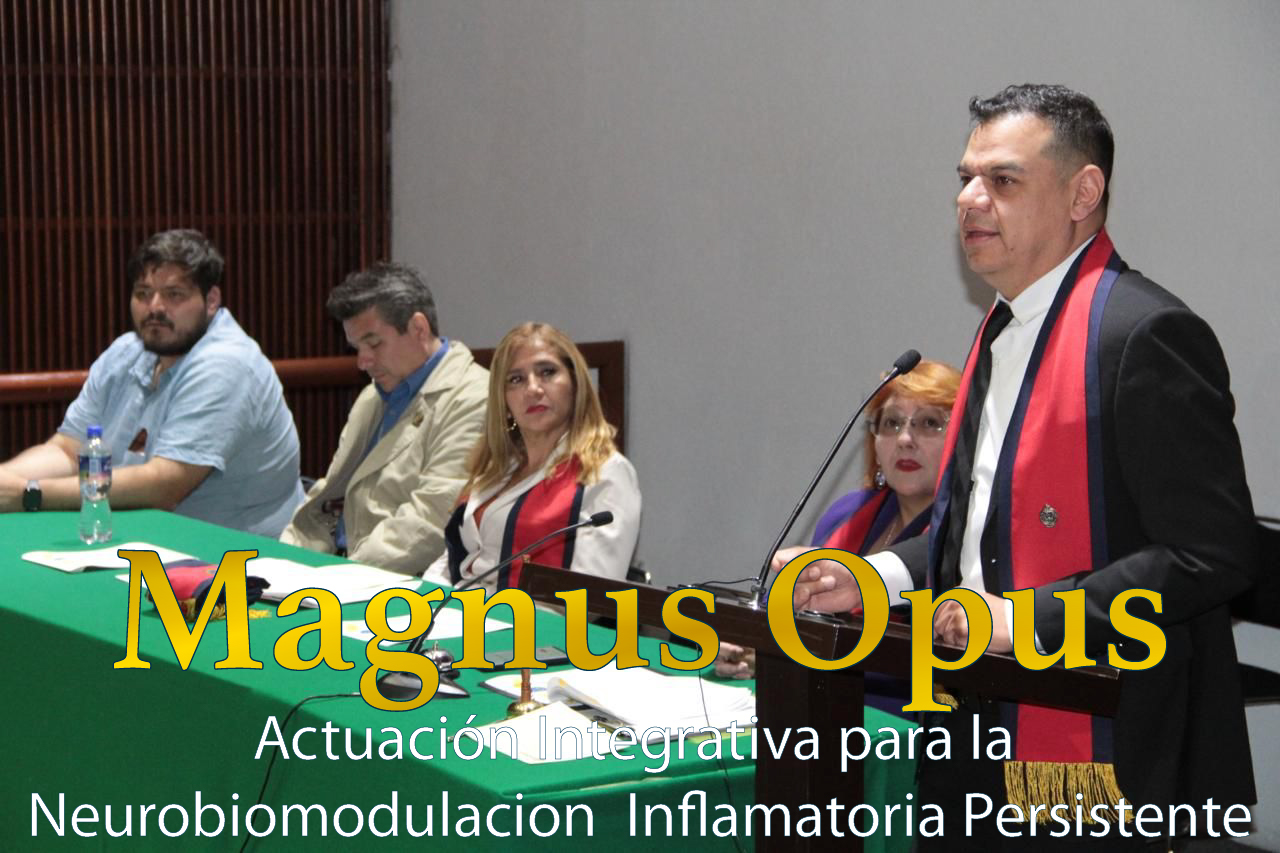 22 Actuación integrativa para la neurobiomodulacion inflamatoria persistente